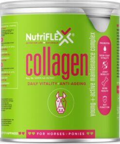 NutriFlex Collagen (Maintenance Complex) for Horses & Ponies - 1kg