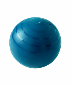 Nyamba Robust Swiss Ball