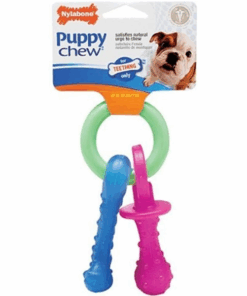 Nylabone Puppychew Teething Pacifiers