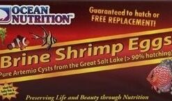 Ocean Nutrition Brine Shrimp Eggs - 50g