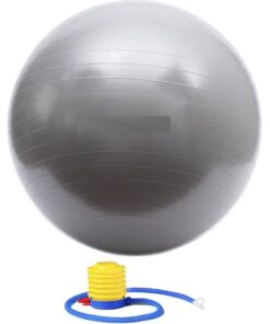 Olive Tree - 65cm Yoga & Pilates Exercise Ball & Pump - Space Grey