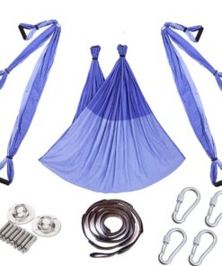 Olive Tree - Aerial Yoga Inversion Swing for Antigravity Yoga - Purple