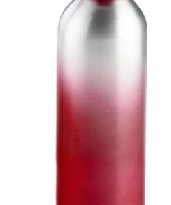 Ombre Metal fashion water bottle