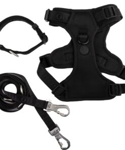 OOCHI Adjustable Step-In Dog Harness, Collar and Leash Bundle