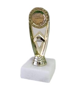 Pack of 10 Gold Trophies: Netball (H421)