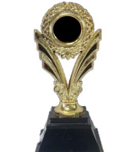 Pack of 10 Gold Trophies with Insert Image L2S