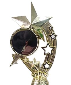 Pack of 5 Gold Trophies - Outstanding Achievement B208