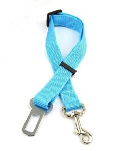 Paw Prints & Curly Tails Seatbelt Clip - Sky Blue