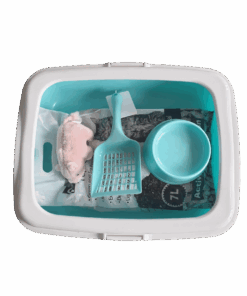 Pawsome Cat Starter Kit Green