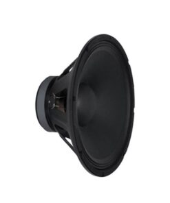 Peavey Pro 10" Woofer