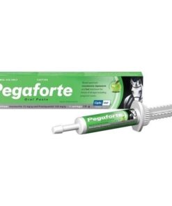 Pegaforte Paste 10g