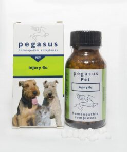 Pegasus Injury 6c 25g