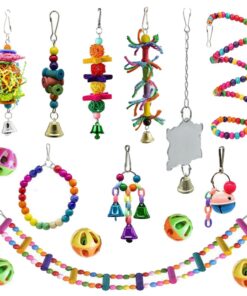 Pet 15 Piece Parrot Bird Jumbo Interactive Toy Set