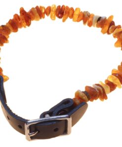 Pet Amber Collar - L
