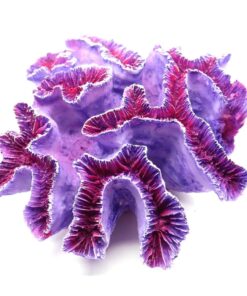 Pet Aquarium Fish Tank Resin Purple Coral Ornaments Decoration (14cm)