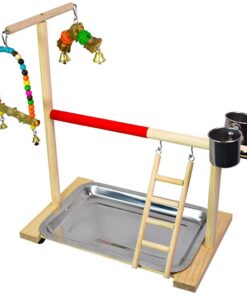 Pet Bird Parrot Interactive Playground Perch With Swing & Ladder 43x36cm