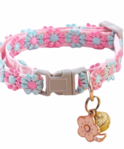 Pet collar embroidered rainbow lace