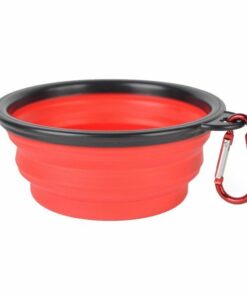 Pet Dog Cat Collapsible Bowls for Travel Home Outdoor - Small - Red