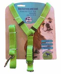 Pet Dog Harness and Lead Set - Green