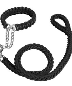 Pet Dog Traction Double Rope Collar & Leash