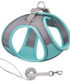 Pet Harness Leash Set Adjustable Step in Pet Harness No Pull Dog Harness - Green+Grey - L