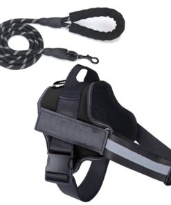 Pet Harness Quality Dog & Lead