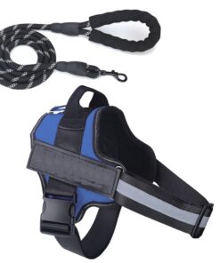 Pet Harness Quality Dog & Lead - Blue - M