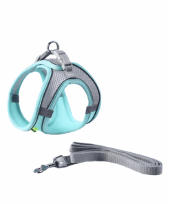 Pet Harness, Reflective Vest with Leash - Small Breed
