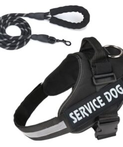 Pet Harness Service Dog & Lead