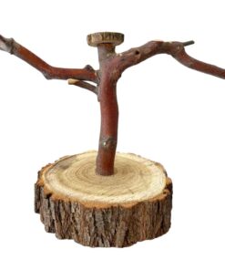 Pet Natural Wooded Resting Perch for Bird Cages (20cm)