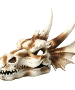 Pet Reptile Fish Tank Aquarium & Terrarium Resin Dragon Skull - M