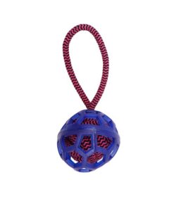 Pet Rubber Ball On Rope Dog Toy
