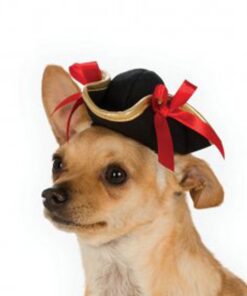 Pirate Girl Hat Pet Accessory