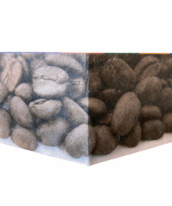 Pockety Wallets - Ultra thin Tyvek Material Wallet - Bean