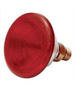 Poltek Poultry Infra Red Lamp 175W 1/100