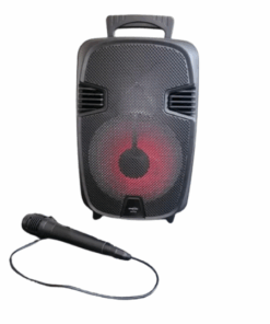 Portable Karaoke Bluetooth Speaker