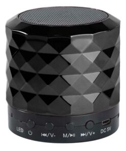 Portable Mini Bluetooth Speaker with 2GB Micro SD Card- Black