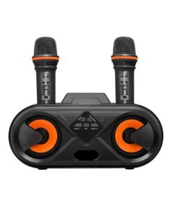 Portable Wireless Microphone Bluetooth Radio Singing Karaoke Machine