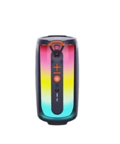 Portable Wireless Outdoor Karaoke Party Speaker with LED RGB