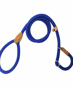 POU Adjustable Dog Collar Leash - Navy