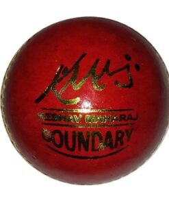 Pr Boundary Cricket Ball - 156g