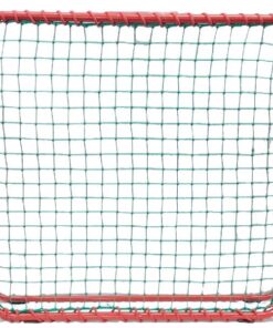 Pr Cricket Rebound Net