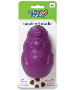 Premier - Busy Buddy Squirrel Dude - Medium