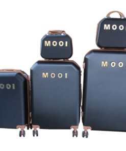 Premium ABS Luggage Set with Locks, Telescopic Handles & Directional Wheel