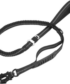 Premium dog leash with frog buckle - Black