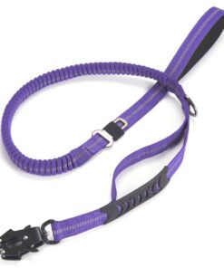 Premium dog leash with frog buckle - Purple