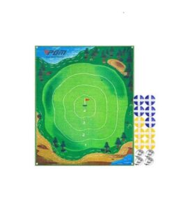 Pro Golf Master Chip and Stick training game