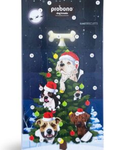 Probono Advent Calendar