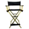 Professional Foldable Makeup Director Chair - MC19011 - Champagne Gold