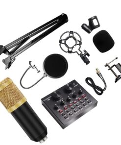 Professional Recording Condensor Microphone